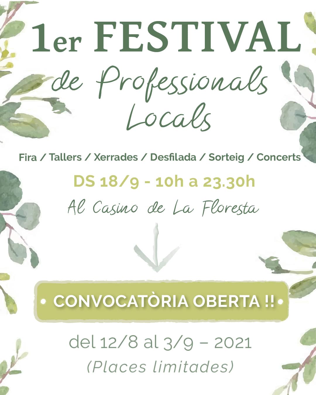 Inscripción abierta para el 1er Festival de Profesionales Locales
