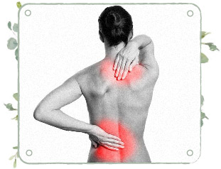Taller Cuidar la espalda Ejercicios terapéuticos y posturales
